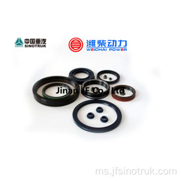 VG1246050027 61560040032 VG1560040032 Howo Oil seal